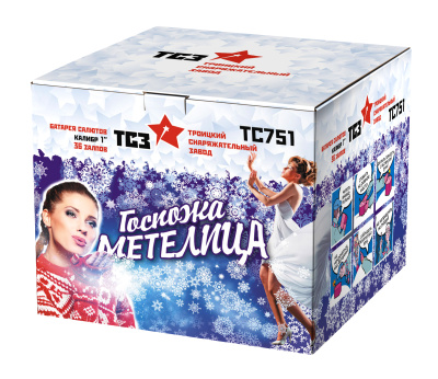 Госпожа Метелица Фейерверк купить в Хабаровске | habarovsk.salutsklad.ru