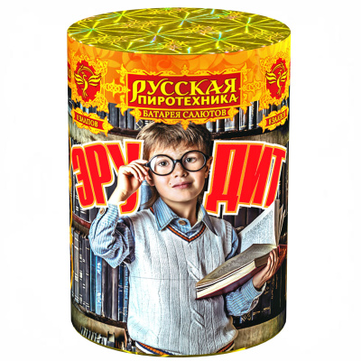Эрудит Фейерверк купить в Хабаровске | habarovsk.salutsklad.ru