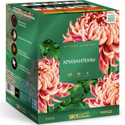 Хризантемы Фейерверк купить в Хабаровске | habarovsk.salutsklad.ru