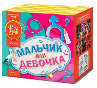 Мальчик или девочка М Фейерверк купить в Хабаровске | habarovsk.salutsklad.ru